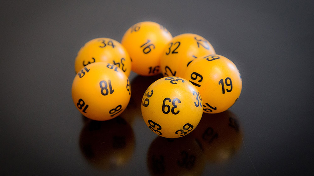 toto228
